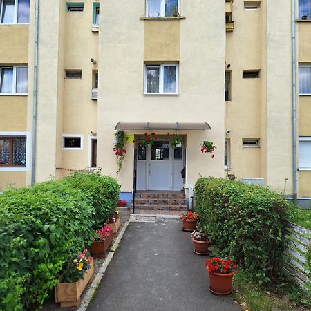 Aldine Comfort : Entire Apartment With 2 Bedrooms 锡比乌 外观 照片