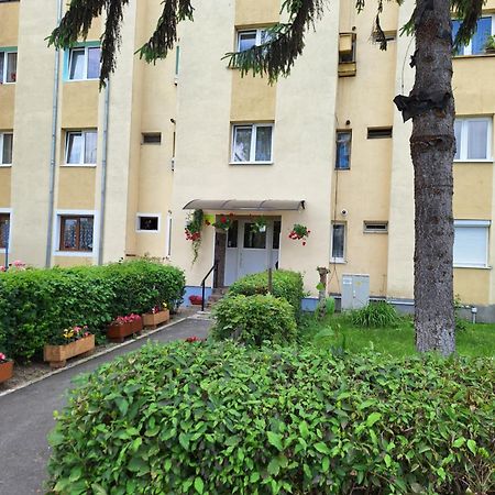 Aldine Comfort : Entire Apartment With 2 Bedrooms 锡比乌 外观 照片