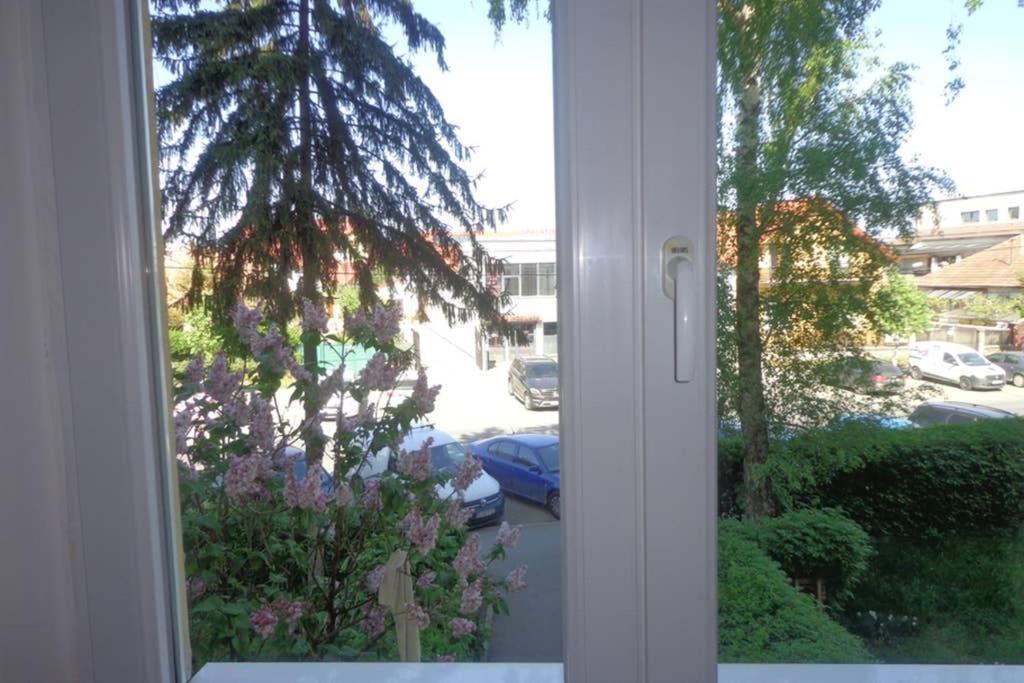 Aldine Comfort : Entire Apartment With 2 Bedrooms 锡比乌 外观 照片