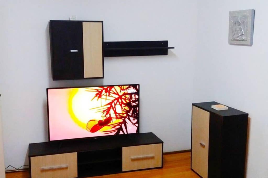 Aldine Comfort : Entire Apartment With 2 Bedrooms 锡比乌 外观 照片