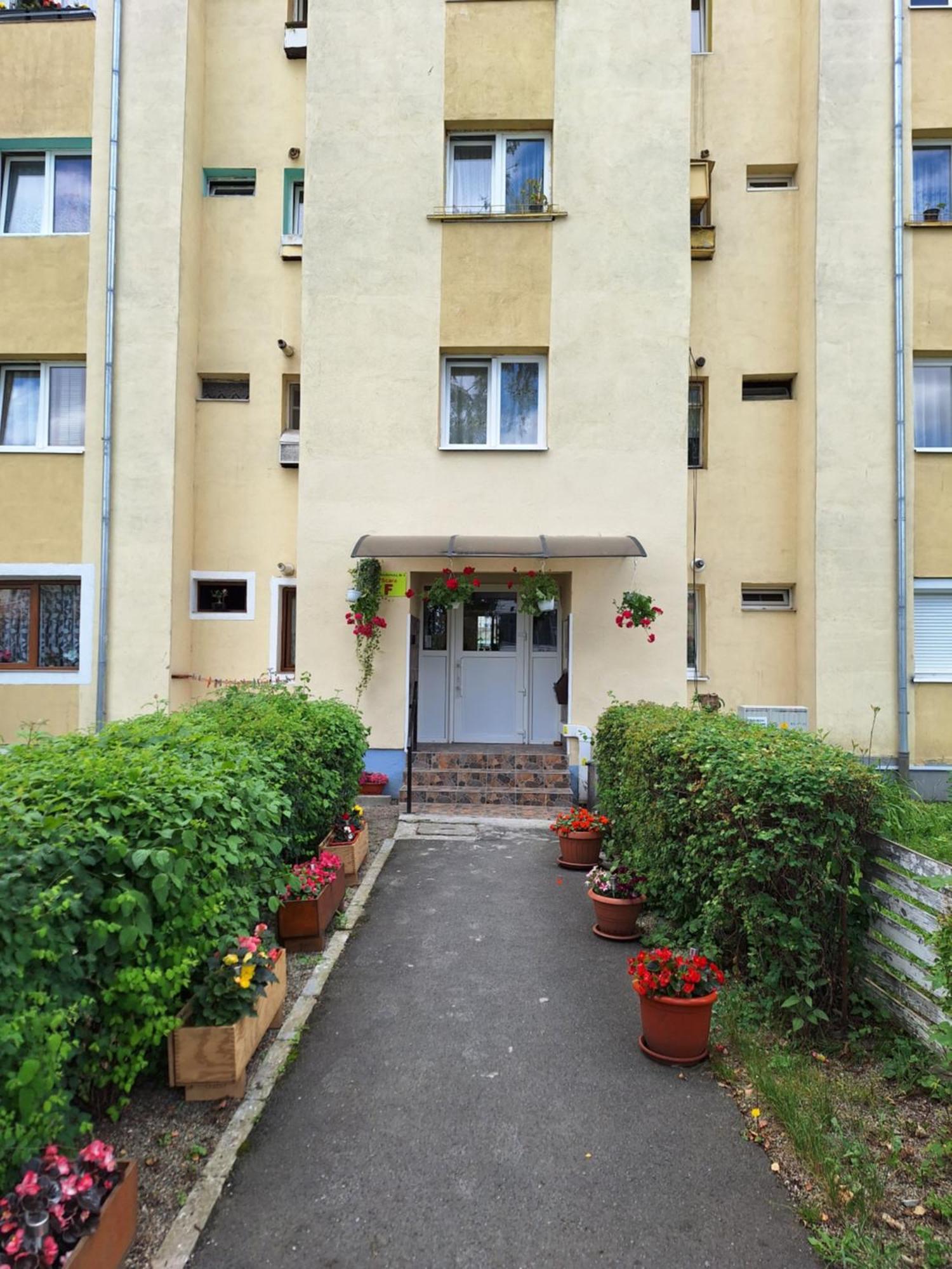 Aldine Comfort : Entire Apartment With 2 Bedrooms 锡比乌 外观 照片
